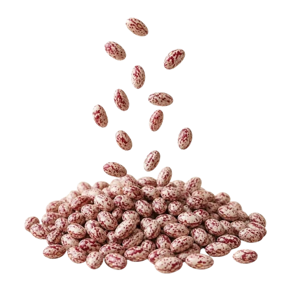 Red speckled beans, calibrated — Overview