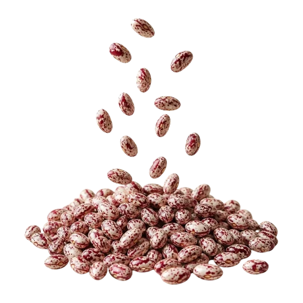 Red speckled beans, polished — Overview