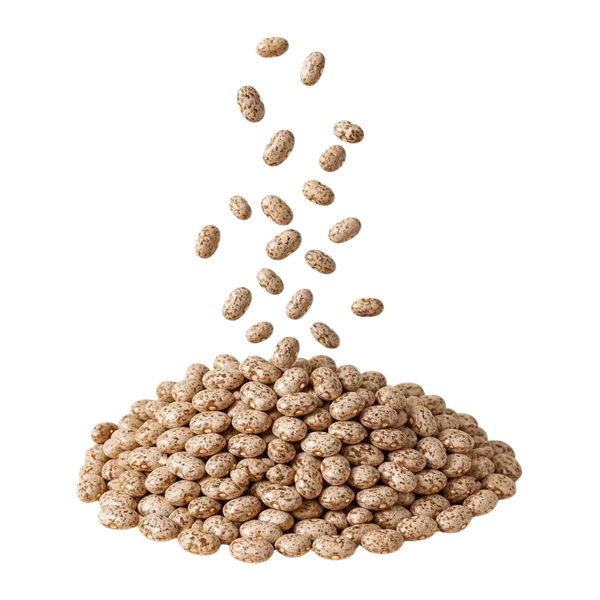 Speckled beans, calibrated — Overview