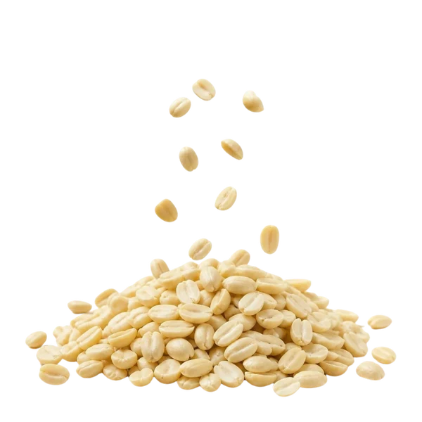Peanut kernels, blanched — Overview