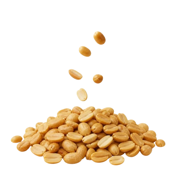 Peanut kernels, salted — Overview