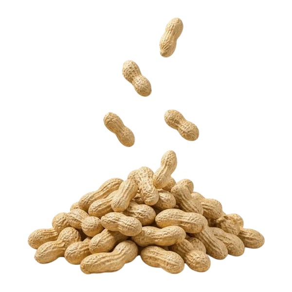 Peanuts in shell, raw — Overview