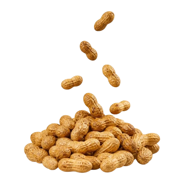Peanuts in shell, roasted — Overview